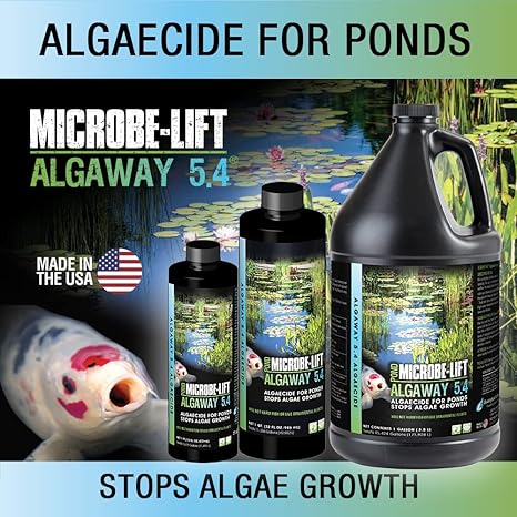 AlgAway 5.4 – Quart/32 fl. oz.